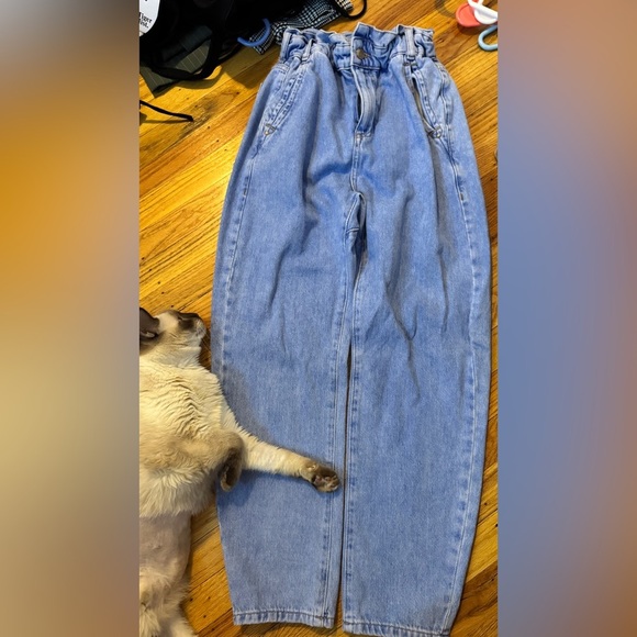 Zara Denim - Zara Light Blue cinch waist.